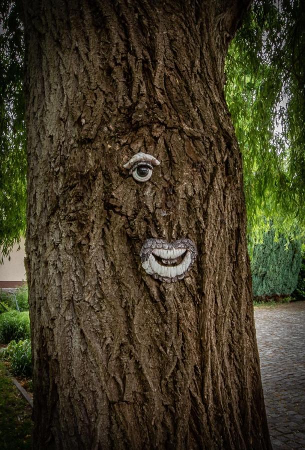فندق Storchennest Spreewald فتشاو المظهر الخارجي الصورة